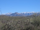 photo thumbnail #5