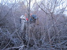photo thumbnail #3