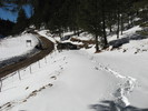 photo thumbnail #2