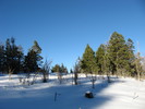photo thumbnail #8