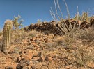 photo thumbnail #15