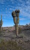 photo thumbnail #2
