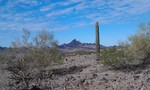 photo thumbnail #6