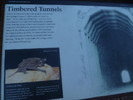 photo thumbnail #11