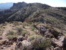 photo thumbnail #12