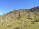 photo thumbnail #2