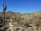 photo thumbnail #1