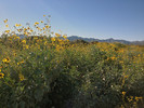 photo thumbnail #14