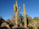photo thumbnail #4