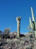 photo thumbnail #14