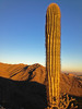 photo thumbnail #4