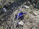 photo thumbnail #2