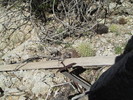 photo thumbnail #5