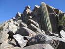 photo thumbnail #11