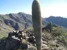 photo thumbnail #13
