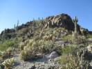 photo thumbnail #15