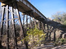 photo thumbnail #2