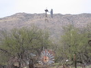 photo thumbnail #8