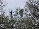 photo thumbnail #9