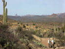 photo thumbnail #3