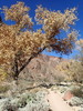 photo thumbnail #12