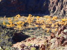 photo thumbnail #13
