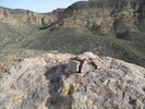 photo thumbnail #5