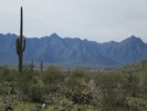 photo thumbnail #6
