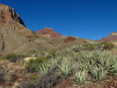 photo thumbnail #12