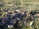 photo thumbnail #8