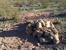 photo thumbnail #3