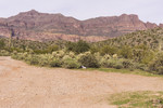 photo thumbnail #9
