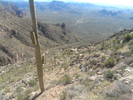photo thumbnail #13