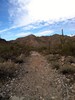 photo thumbnail #1