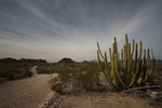 photo thumbnail #15