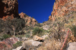 photo thumbnail #1