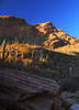 photo thumbnail #13