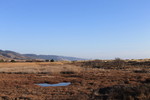 photo thumbnail #12