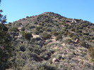 photo thumbnail #12