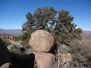 photo thumbnail #13