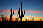 photo thumbnail #1