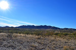 photo thumbnail #3