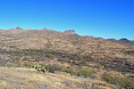 photo thumbnail #5