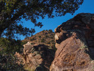 photo thumbnail #3