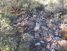 photo thumbnail #3