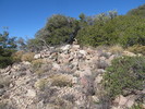 photo thumbnail #8