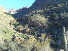 photo thumbnail #4