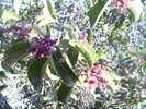 photo thumbnail #12