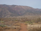 photo thumbnail #2