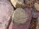 photo thumbnail #6